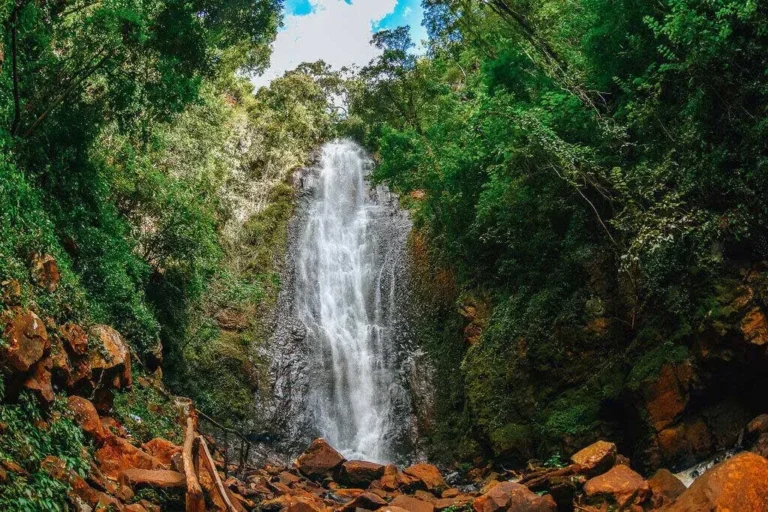 Cachoeira do Martello, com uma queda d'água no meio da mata fechada.