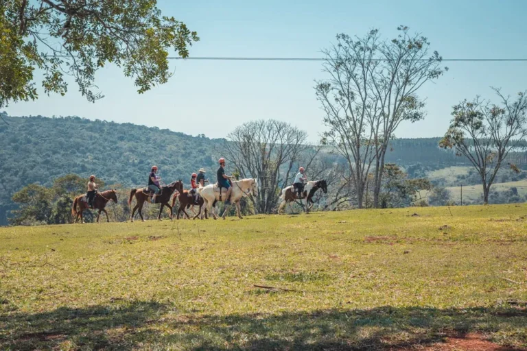 Grupo cavalgando em fila por um campo verde, com árvores e morros ao fundo.